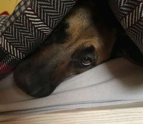 80. Foto  Challenge - Versteckt/ in einer Höhle-Beitrag-Bild