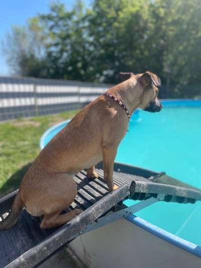 Zeigt her...-Beitrag-Bild