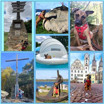 45. Collage Challenge - Lieblingsurlaubs/ Ausflugsziele-Beitrag-Bild