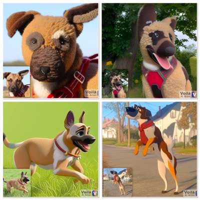 Voila app Bilder-Beitrag-Bild