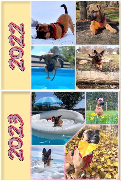 55.Fotocollagen  Challenge  4 Jahreszeiten-Beitrag-Bild