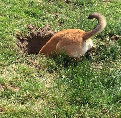 Fotochallenge 129-Beitrag-Bild