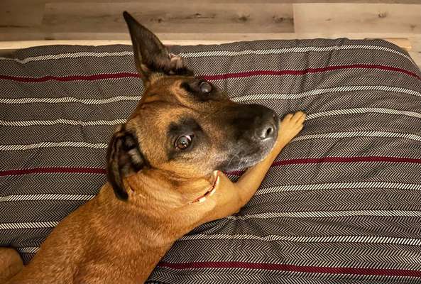 32. Farben Challenge  ** ( BUNTE ) STREIFEN **-Beitrag-Bild