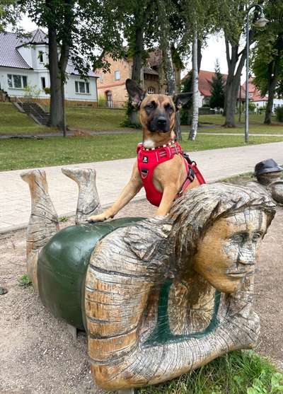 82. Foto Challenge: Skulptur/ Denkmal-Beitrag-Bild