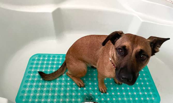 23. Farben / Fotochallenge - Türkis --Beitrag-Bild