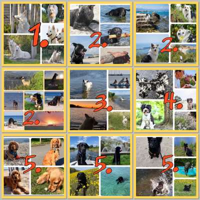 Zeigt eure schönsten Sommerbilder-Beitrag-Bild