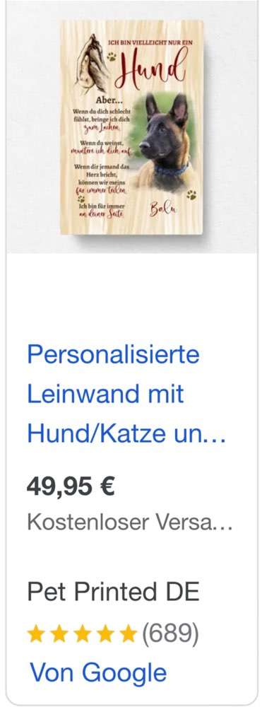 Hundesprüche-Beitrag-Bild