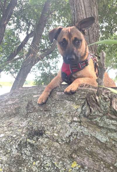 23. Handy Foto-Challenge-Beitrag-Bild