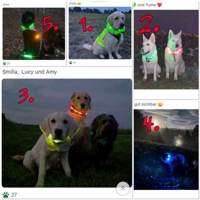 FOTOCHALLENGE 109: Leuchtwürmer Sicherheit im Straßenverkehr und mehr...-Beitrag-Bild