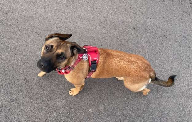 Von oben-Beitrag-Bild