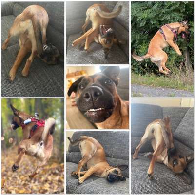 20. Collagen Challenge - "Lustige Schnappschüsse"-Beitrag-Bild