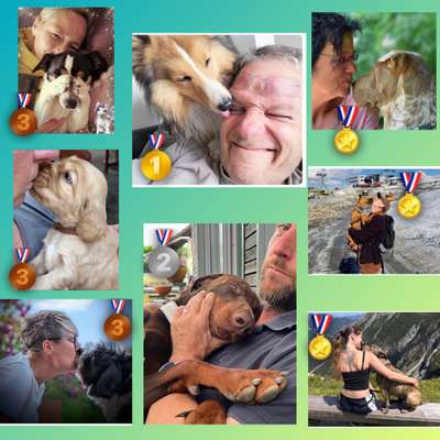 Dogorama Photo Challenge - Liebesbeweis-Beitrag-Bild