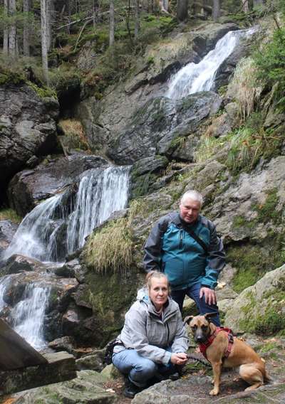 Dogorama Photo Challenge - Wasserfall-Beitrag-Bild