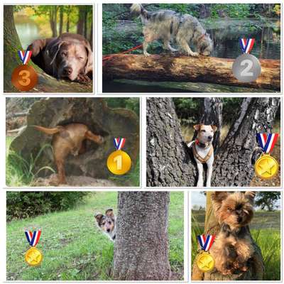 27. Handy Fotochallenge-Beitrag-Bild