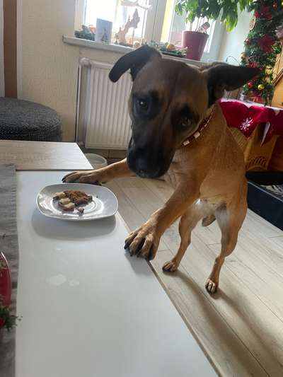 Fotochallenge 113: Auf frsicher Tat ertappt-Beitrag-Bild