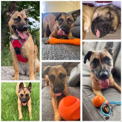 18. Collagen Challenge - Zunge raus!-Beitrag-Bild