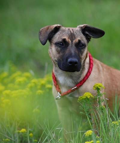 Fotochallenge 78

Es grünt und blüht-Beitrag-Bild