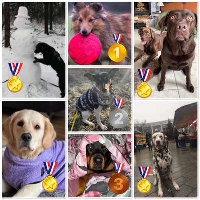 13. Collage- Challenge 
Beschäftigung in der kalten Jahreszeit-Beitrag-Bild