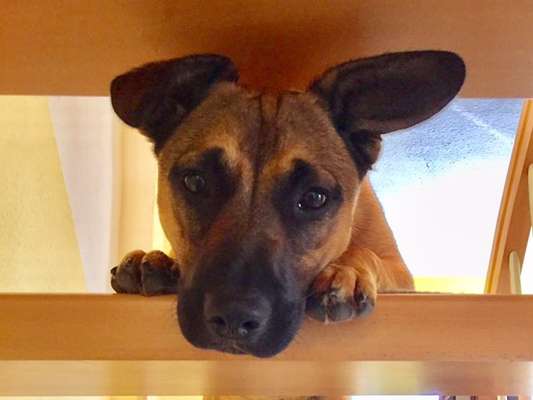 Lieblingsbild :D-Beitrag-Bild