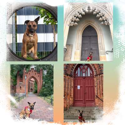 58. Foto Collagen Challenge: Torbögen-Beitrag-Bild