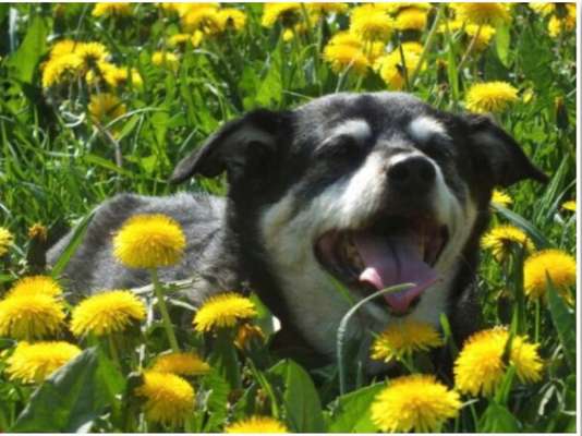 Fotowettbewerb zum Thema "Sonne"-Beitrag-Bild