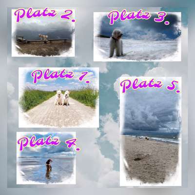 156. Fotochallenge *** DEIN HUND UND DIE WUNDERSCHÖNEN WOLKEN ***-Beitrag-Bild