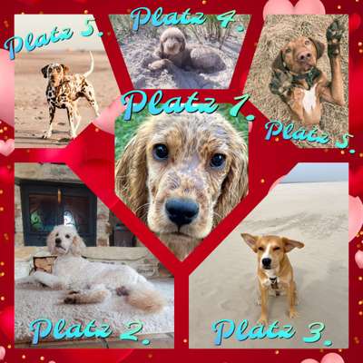 28. Farben Foto Challenge * BEIGE *-Beitrag-Bild