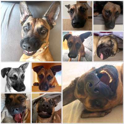 Fotocollage-Beitrag-Bild