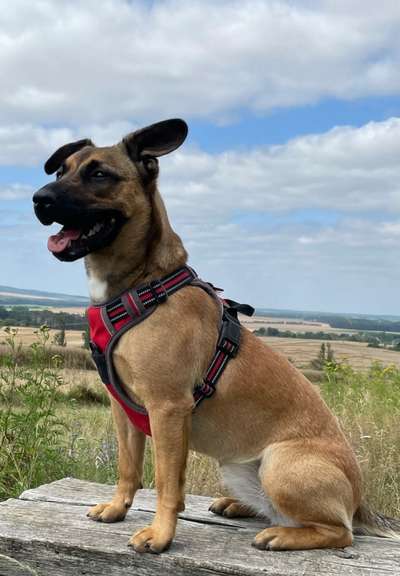 Fotowettbewerb Natur-Beitrag-Bild