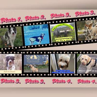 23. Kurzgeschichten - Auf zu neuen Abenteuern-Beitrag-Bild