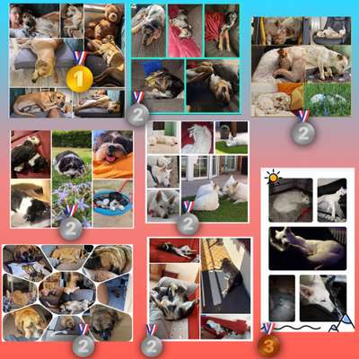 42. Collage Challenge - Ruheplatz-Beitrag-Bild