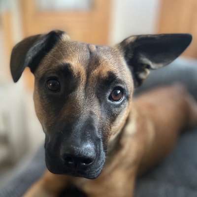 Fotochallange Nr. 57     PORTRÄT.   Beendet!!!!!!!!-Beitrag-Bild