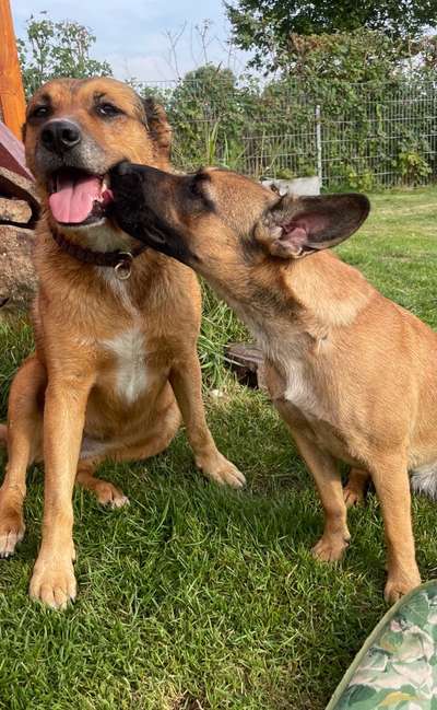 Fotochallenge liebespaare-Beitrag-Bild