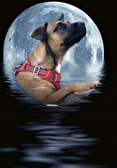 Photoshop und Co.-Beitrag-Bild