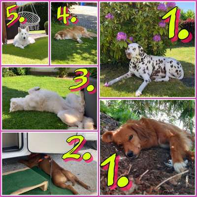 140. Foto Challenge - schattiges Plätzchen-Beitrag-Bild