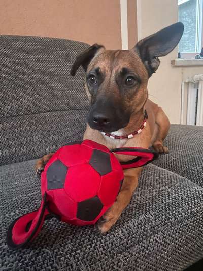 34. Farben-Challenge: Punkte - Punkte - Pünktchen-Beitrag-Bild