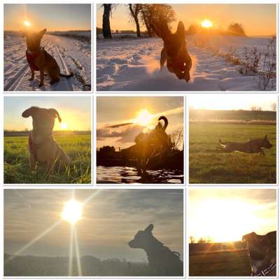 14. Collagen Challenge- Sonnenaufgang & -Untergang-Beitrag-Bild