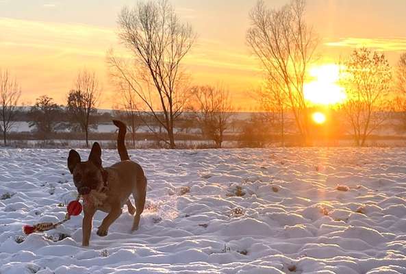 Sonnenaufgänge oder - untergänge-Beitrag-Bild