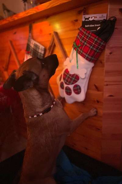 Fotochallenge 111: Endlich! Morgen kommt der Nikolaus..-Beitrag-Bild