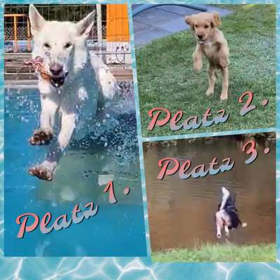 50. Video Challenge - Wasserscheu oder nicht-Beitrag-Bild