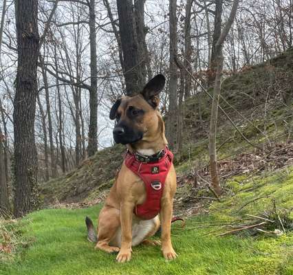 Fotochallenge Nr 107-Beitrag-Bild