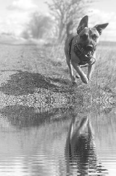 Fotochallenge Nr. 125

Kleine und große Pfützen auf Eurer Gassirunde-Beitrag-Bild