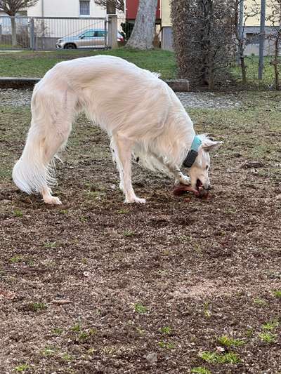 Häufige Vorurteile-Beitrag-Bild