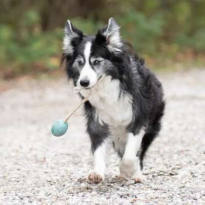 Giftköder-Beratung 
vor dem Einzug-Bild