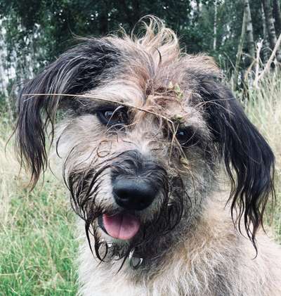 Fotochallange Nr. 57     PORTRÄT.   Beendet!!!!!!!!-Beitrag-Bild