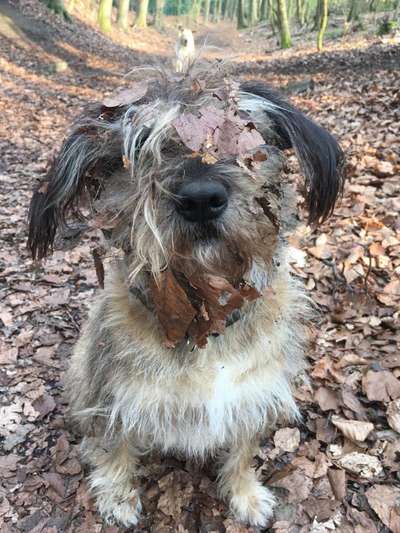 Fotochallange Nr. 57     PORTRÄT.   Beendet!!!!!!!!-Beitrag-Bild