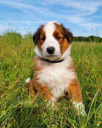 Foto Challenge 3-Beitrag-Bild