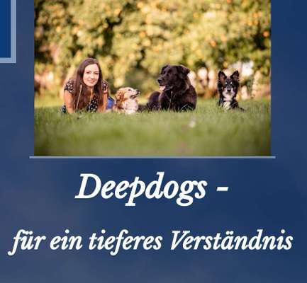 Hundeschulen-Deepdogs- Daniela Strickmann-Bild