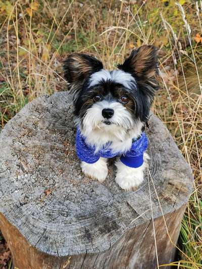 Fotochallange Nr. 57     PORTRÄT.   Beendet!!!!!!!!-Beitrag-Bild