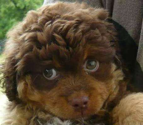 Fotochallange Nr. 57     PORTRÄT.   Beendet!!!!!!!!-Beitrag-Bild